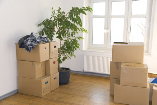 Professional review of a removal service complaint
